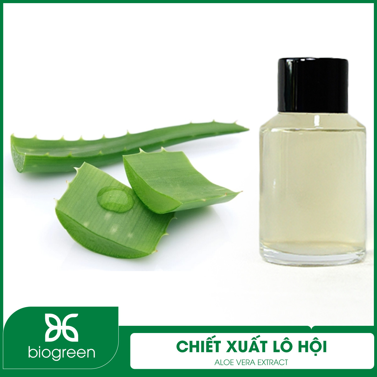 Ưu điểm của chiết xuất lô hội là gì?